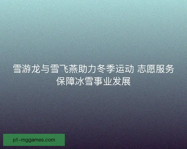 雪游龙与雪飞燕助力冬季运动 志愿服务保障冰雪事业发展
